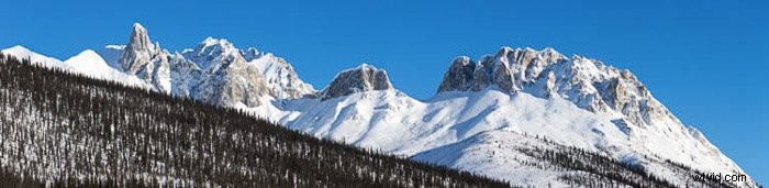 How to Capture Stunning Panoramic Photos: Pro Tips for Epic Landscapes