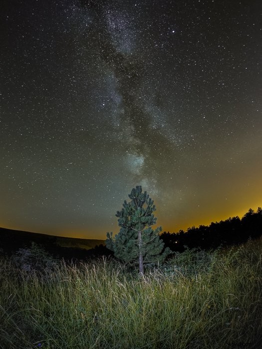 Fisheye Lens Photography: Essential Beginner s Guide to Stunning Panoramic Shots