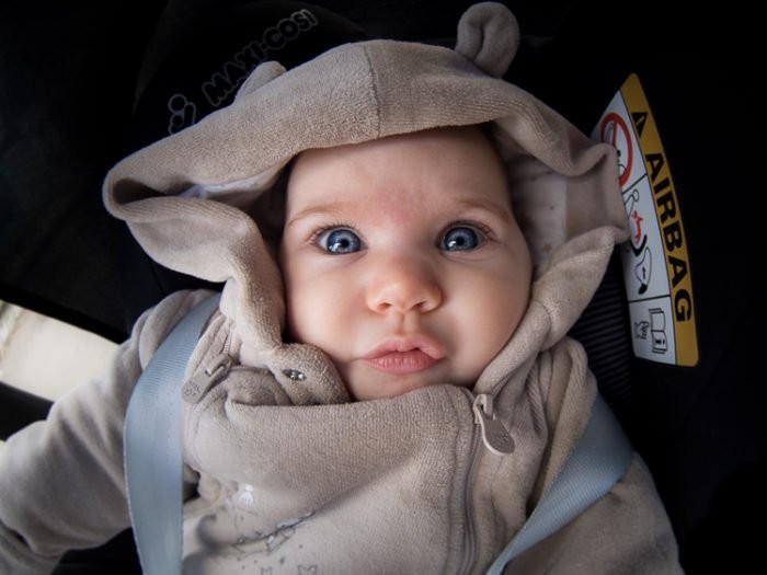 Fisheye Lens Photography: Essential Beginner s Guide to Stunning Panoramic Shots