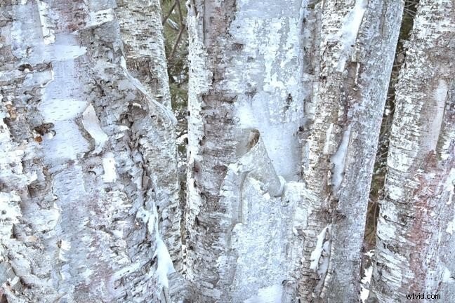 7 Engaging Photography Projects for Parents and Kids: Boost Creativity & Bonding