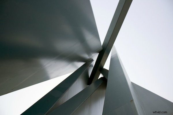 Master Low-Angle Shots: Day 6 Tips for the 30-Day Photography Challenge