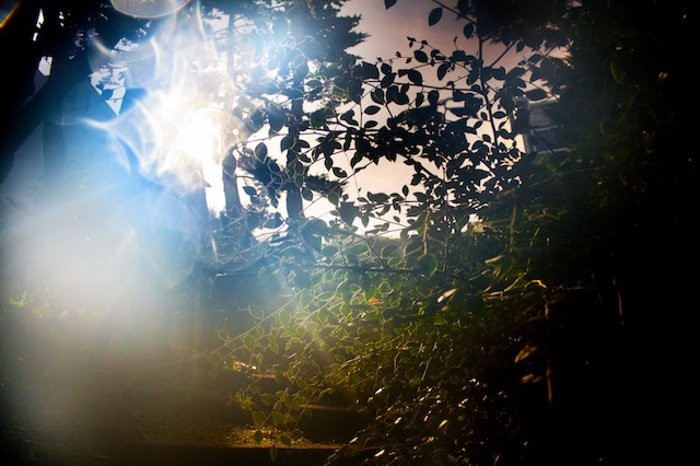 10 Creative Ways to Dirty Your Lens for Stunning Artistic Photography Effects