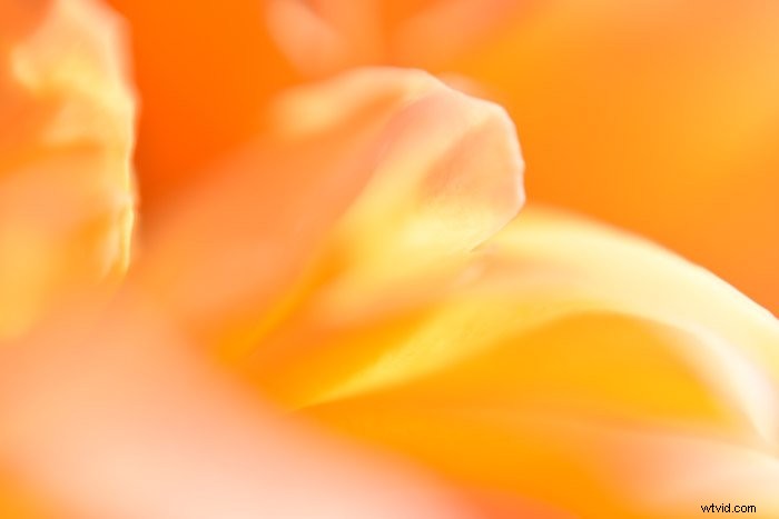 25 Stunning Abstract Photography Examples to Ignite Your Creativity