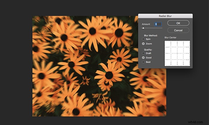 7 Expert Impressionist Photography Tips for Stunning Artistic Shots