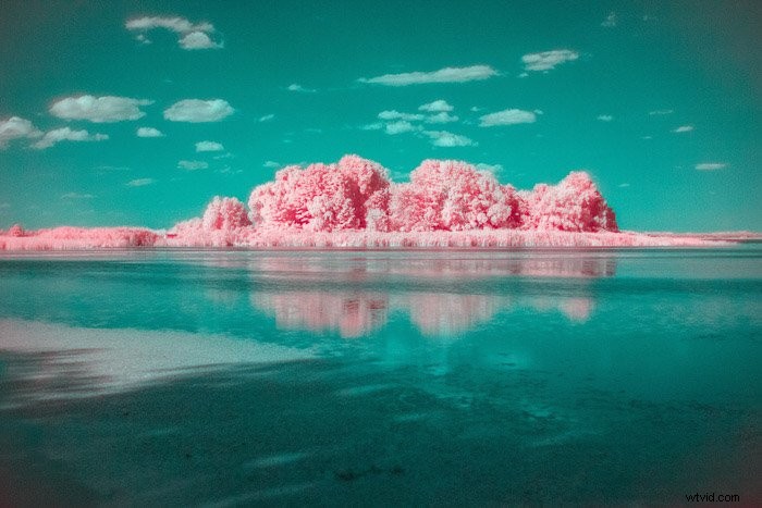 Master Infrared Photography: Stunning Results with Basic Camera Gear