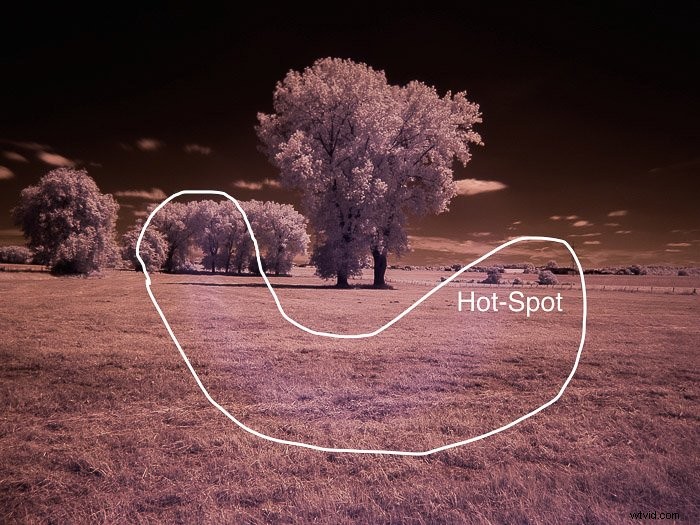 Master Infrared Photography: Stunning Results with Basic Camera Gear