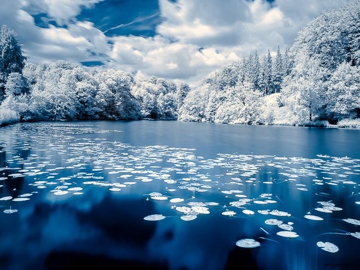 Master Infrared Photography: Stunning Results with Basic Camera Gear