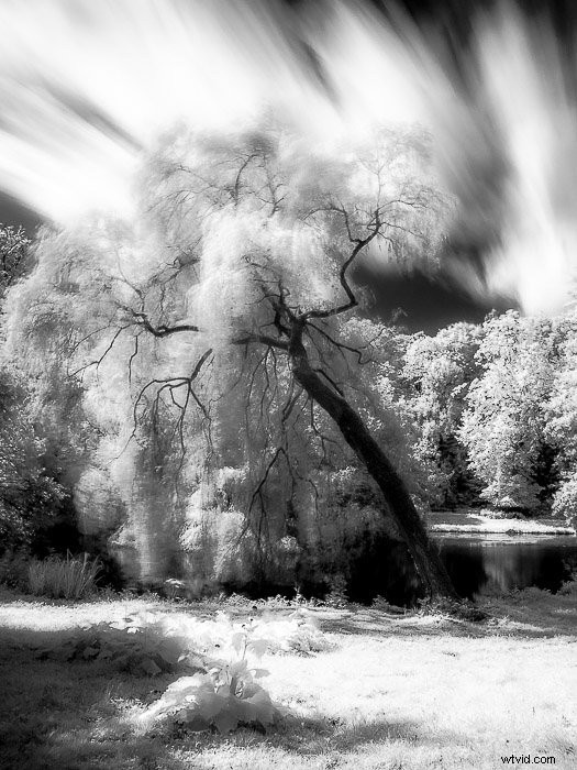 Master Infrared Photography: Stunning Results with Basic Camera Gear