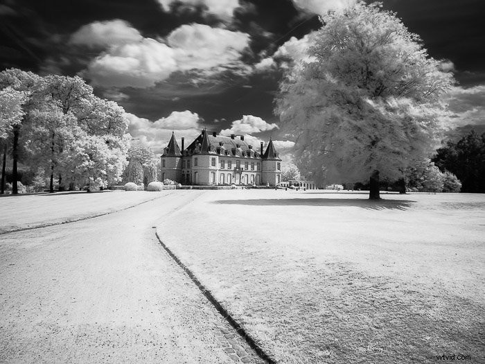 Master Infrared Photography: Stunning Results with Basic Camera Gear