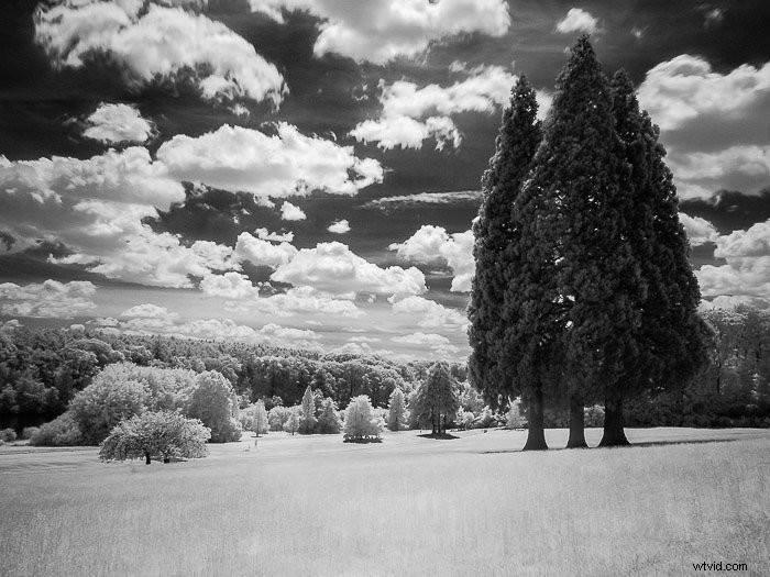 Master Infrared Photography: Stunning Results with Basic Camera Gear