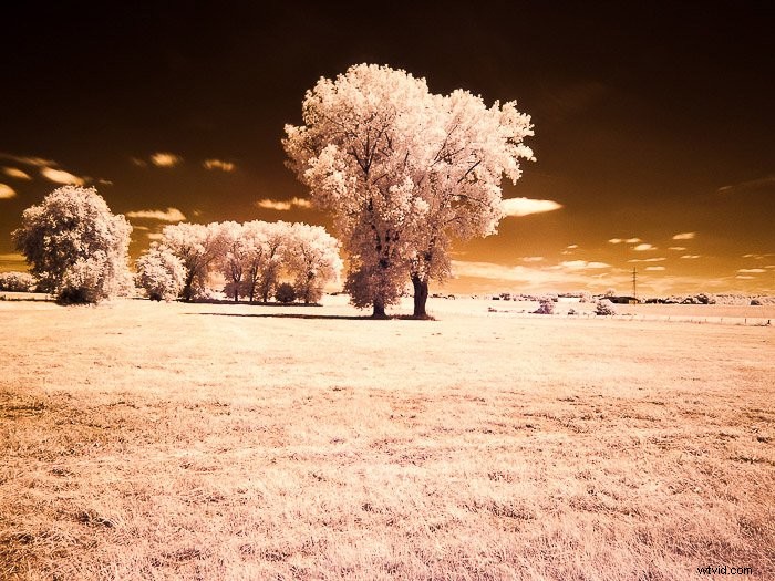 Master Infrared Photography: Stunning Results with Basic Camera Gear