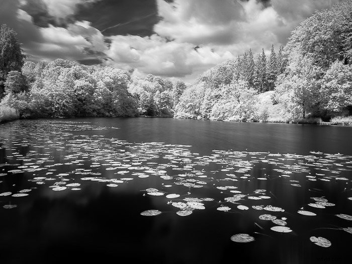 Master Infrared Photography: Stunning Results with Basic Camera Gear