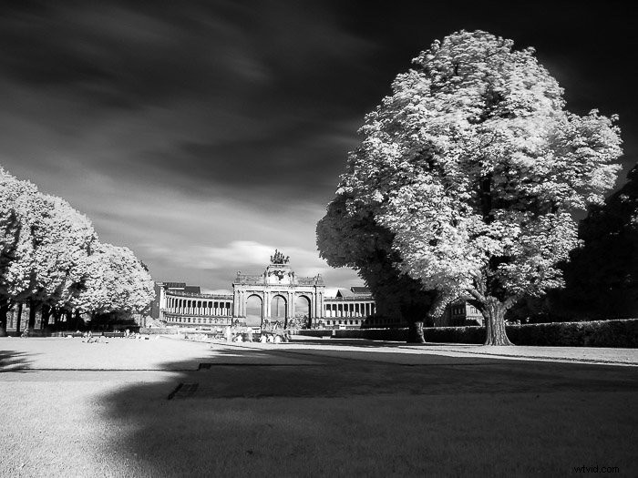 Master Infrared Photography: Stunning Results with Basic Camera Gear