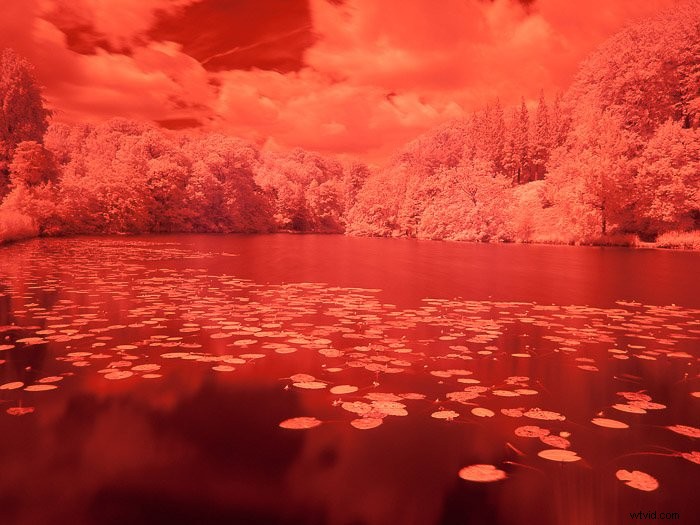 Master Infrared Photography: Stunning Results with Basic Camera Gear