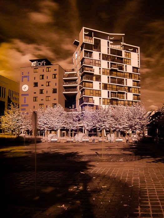 Master Infrared Photography: Stunning Results with Basic Camera Gear