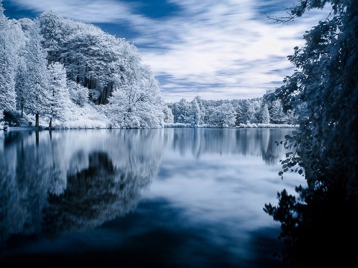 Master Infrared Photography: Stunning Results with Basic Camera Gear