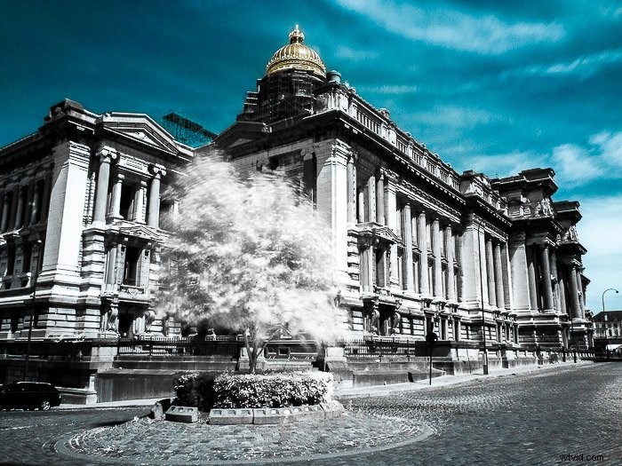 Master Infrared Photography: Stunning Results with Basic Camera Gear