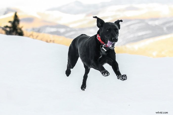 12 Expert Tips to Master Creative Telephoto Lens Photography