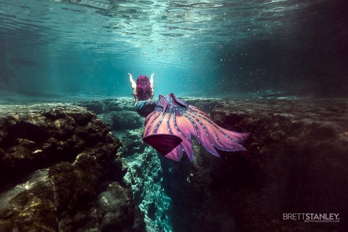 7 Expert Tips for Capturing Stunning Underwater Ocean Life Photography