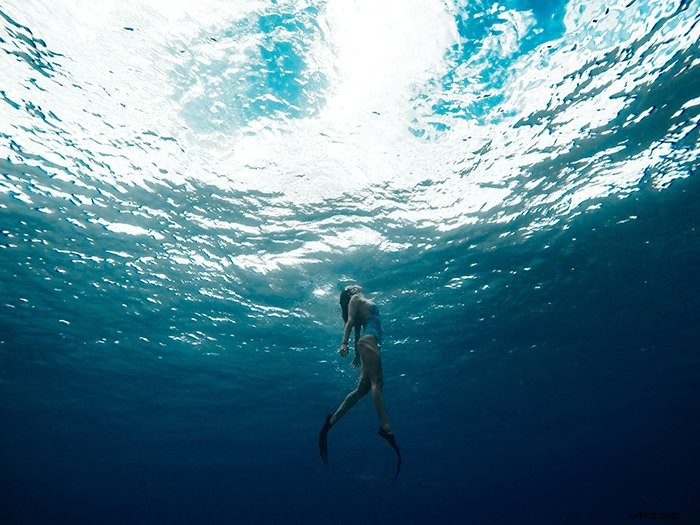 39 Stunning Underwater Photography Examples to Inspire Your Next Shoot