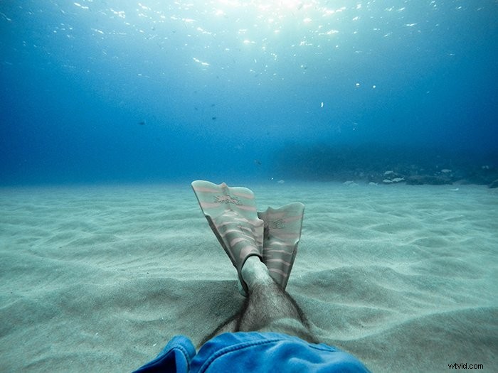 39 Stunning Underwater Photography Examples to Inspire Your Next Shoot