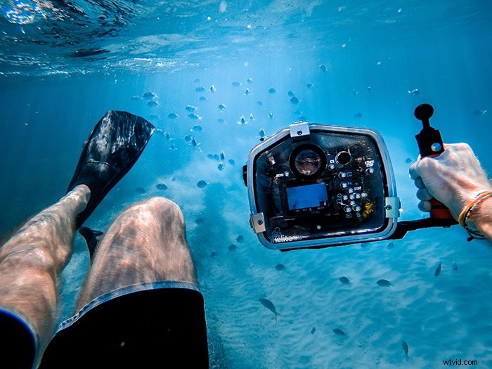 39 Stunning Underwater Photography Examples to Inspire Your Next Shoot
