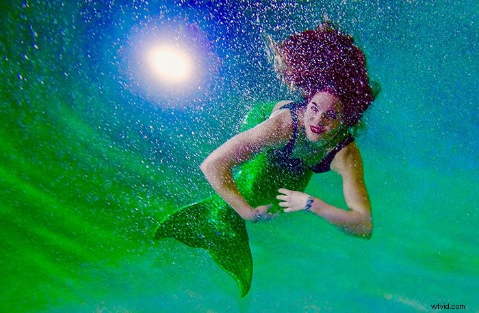 39 Stunning Underwater Photography Examples to Inspire Your Next Shoot