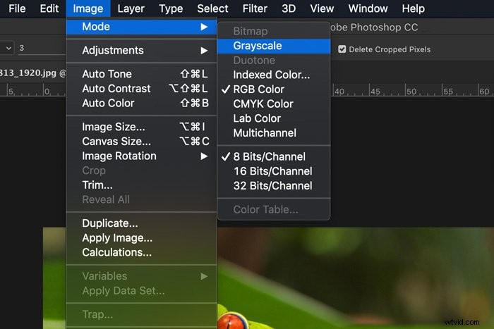 Master Monochrome Color Photography: Techniques for Stunning Single-Hue Images