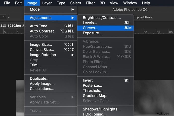 Master Monochrome Color Photography: Techniques for Stunning Single-Hue Images