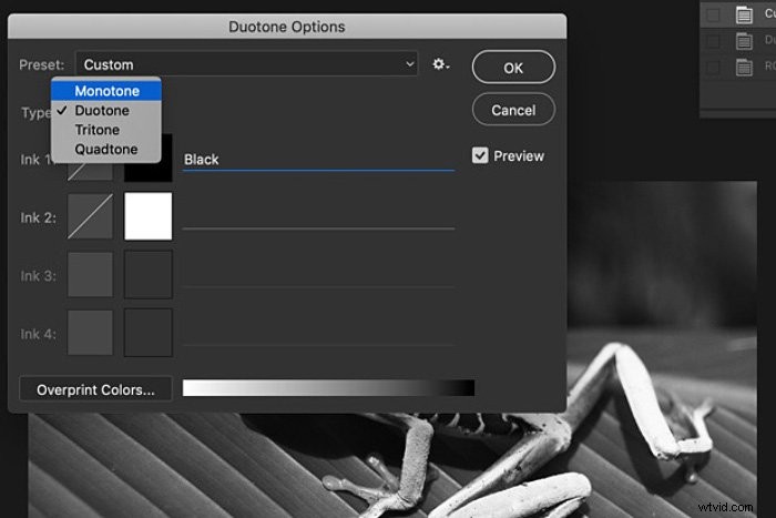 Master Monochrome Color Photography: Techniques for Stunning Single-Hue Images