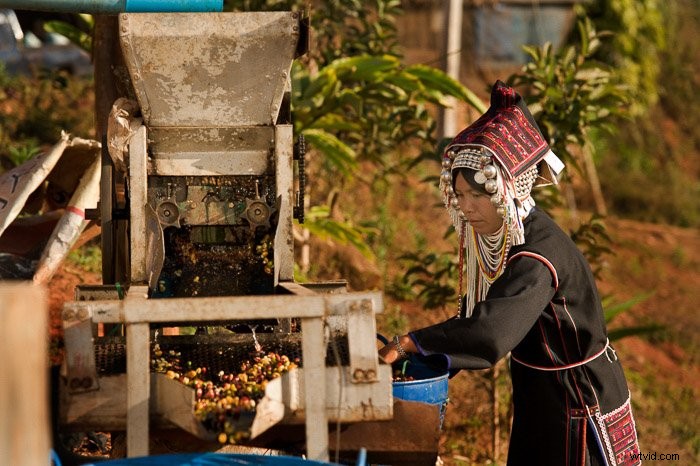 How to Create a Stunning Photography Zine: Complete Guide