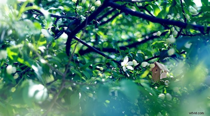 Creative Spring Photography Ideas to Spark Inspiration and Beat Boredom