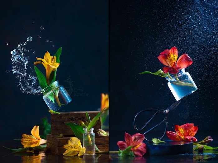 Creative Spring Photography Ideas to Spark Inspiration and Beat Boredom