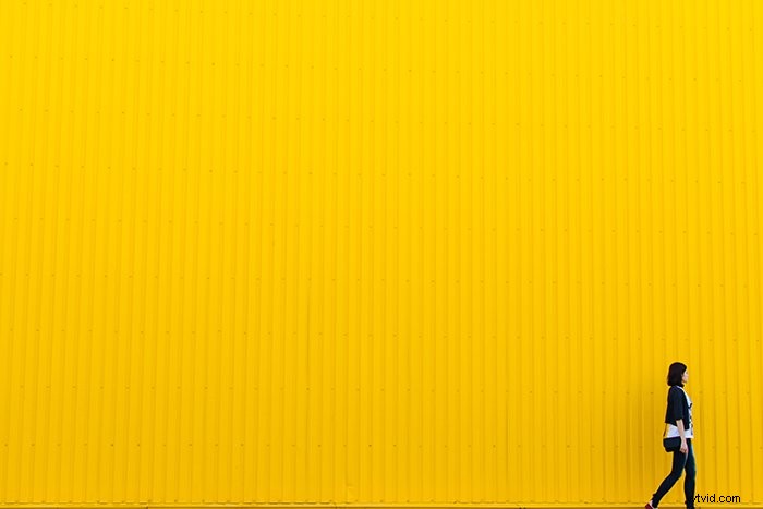 Master Vibrant Colors in Photography: 10 Expert Tips for Stunning Shots