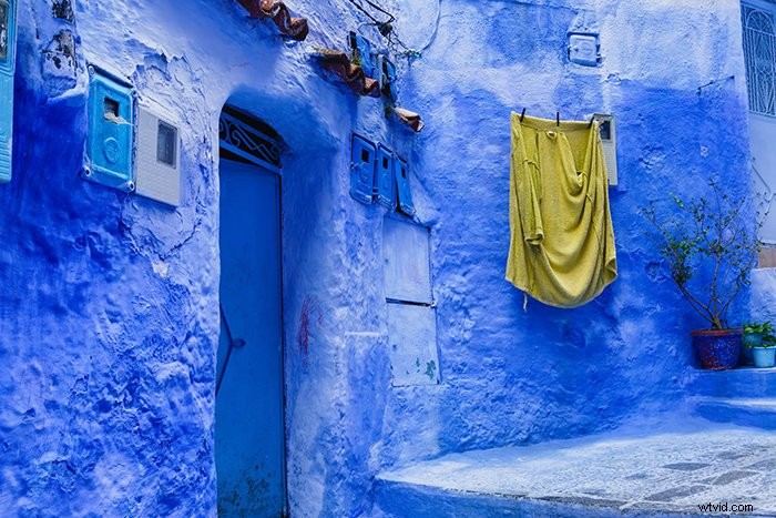 Master Vibrant Colors in Photography: 10 Expert Tips for Stunning Shots