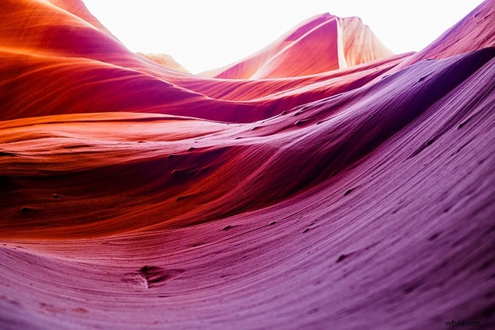 Master Vibrant Colors in Photography: 10 Expert Tips for Stunning Shots