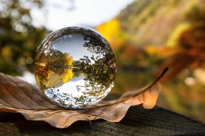 Lensball Review: Best Crystal Ball for Photography? Pros, Cons & Alternatives