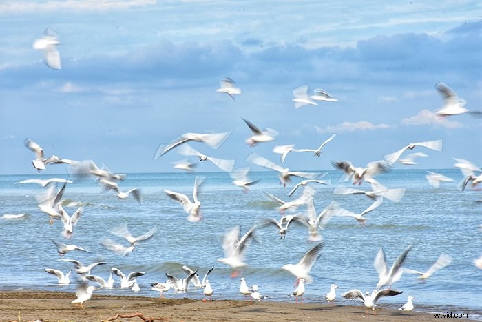 12 Proven Tips for Capturing Truly Unique and Stunning Photos