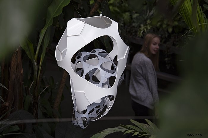 Expert Tips for Capturing Stunning Sculpture and Statue Photography