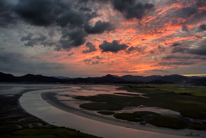 Master 10 Stunning Photography Effects to Elevate Your Shots