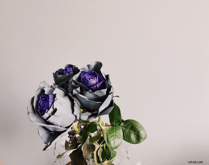 UV Photography Explained: What It Is and How to Get Started Like a Pro