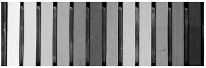 Master Canon Picture Styles: Easy Guide to In-Camera Color Customization