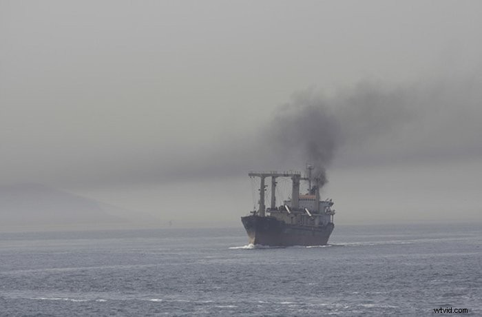 Master Canon Picture Styles: Easy Guide to In-Camera Color Customization