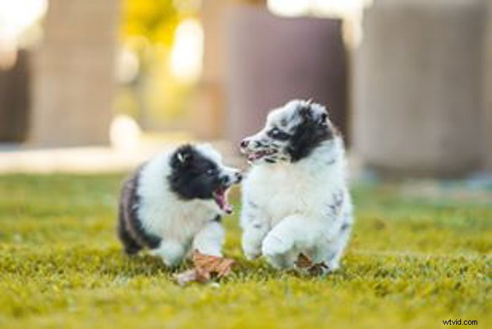 Master Canon Picture Styles: Easy Guide to In-Camera Color Customization