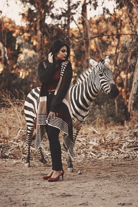 Master Canon Picture Styles: Easy Guide to In-Camera Color Customization