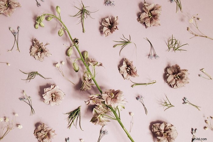 21 Easy DIY Photo Backdrop Ideas for Stunning Professional Photos