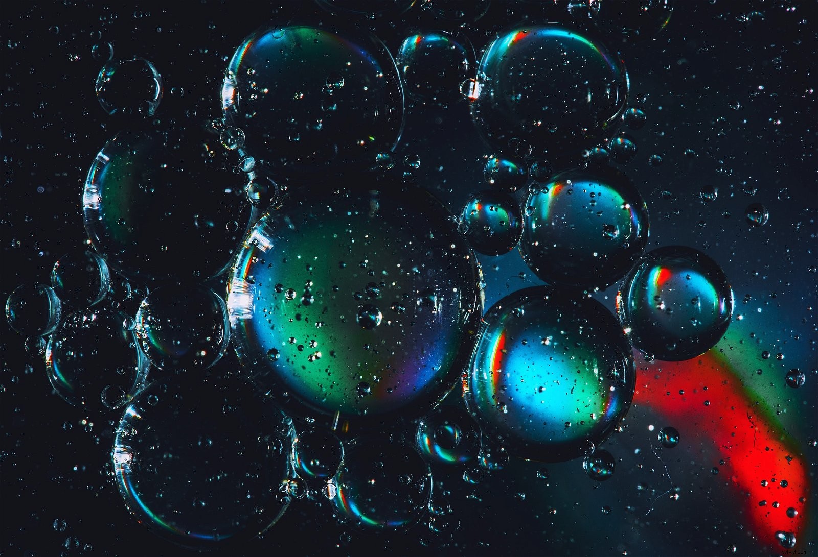 9 Expert Tips for Capturing Stunning Soap Bubble Photography