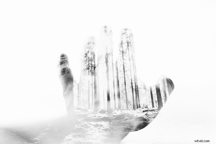 16 Expert Tips for Stunning Double Exposure Photography