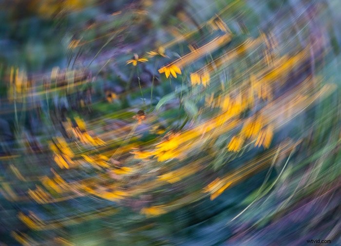 10 Must-Try Experimental Photography Techniques to Ignite Your Creativity