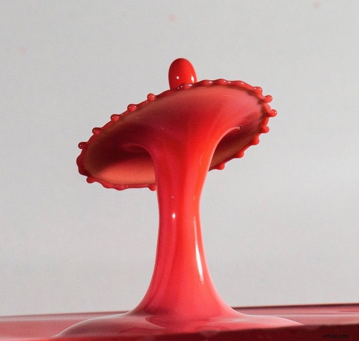 Master Stunning Water Drop Photography: Easy Step-by-Step Guide